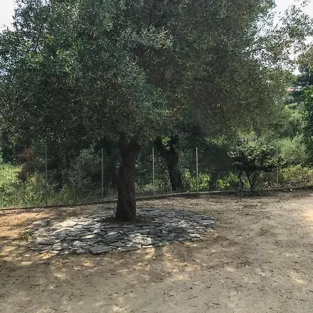 Nymfes House * Paliouri